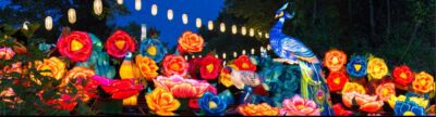 Boston Lights: A Lantern Experience admission - Image 2