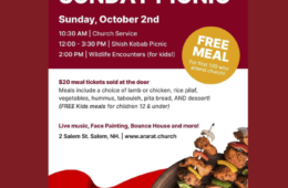 NH Shish Kebab Picnic