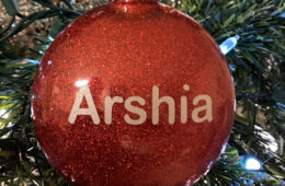 Customized Ornament